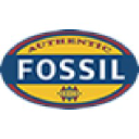 Fossil Rachel Tote